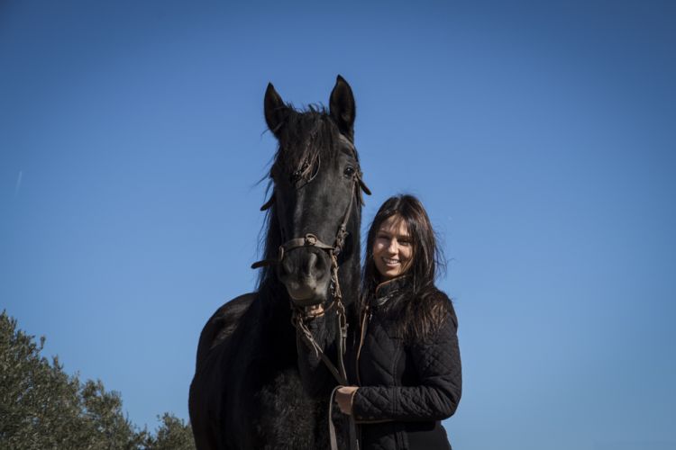 fotografo caballos madrid