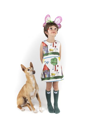 fotografo profesional mascotas madrid perros (22)