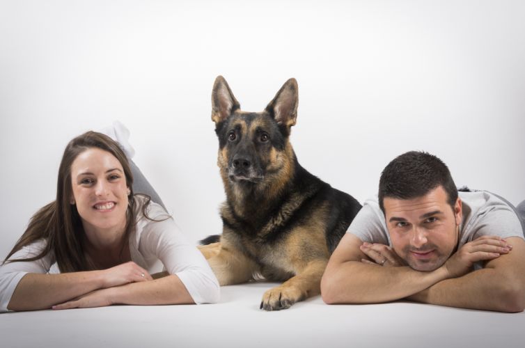 fotografo profesional mascotas madrid perros (44)